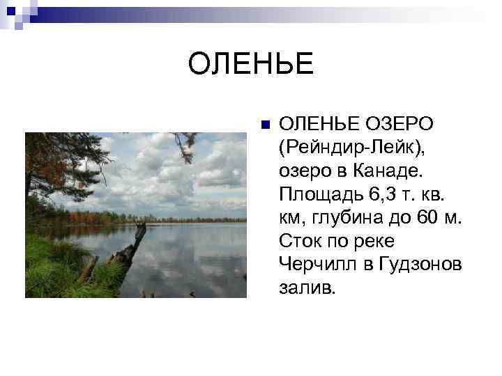 ОЛЕНЬЕ n ОЛЕНЬЕ ОЗЕРО (Рейндир-Лейк), озеро в Канаде. Площадь 6, 3 т. кв. км,
