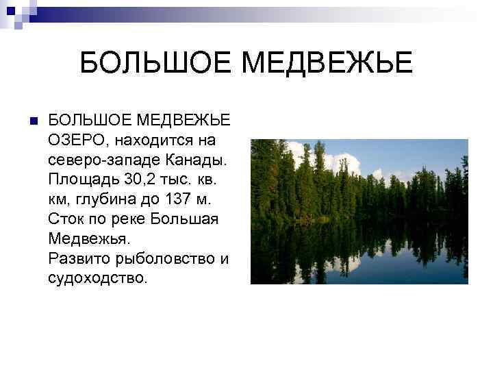 Большое медвежье. Озеро Медвежье сообщение. Медвежье озеро географическое положение. Сообщение о озере большое Медвежье. Большое Медвежье озеро площадь км2.