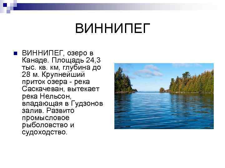 Какого происхождение озер северной америки. Северная Америка озеро Виннипег. Самое большое по площади пресноводное озеро в мире. Самое крупное озеро Северной Америки. Внутренние воды винепек.