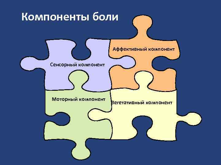 Компоненты боли Аффективный компонент Сенсорный компонент Моторный компонент Вегетативный компонент 