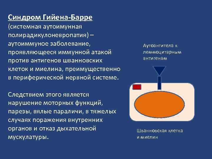Синдром Гийена-Барре (системная аутоимунная полирадикулоневропатия) – аутоиммуное заболевание, проявляющееся иммунной атакой против антигенов шванновских