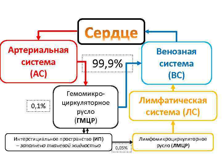 Ас 0. ГМЦР В кровообращении это. Схема ГМЦР. ГМЦР состоит из. ЛМЦР В ответ.