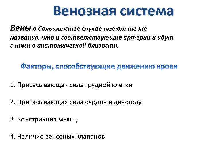 Венозная система Вены в большинстве случае имеют те же названия, что и соответствующие артерии