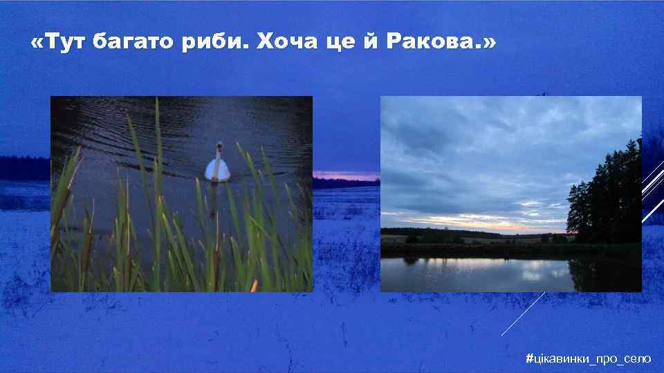  «Тут багато риби. Хоча це й Ракова. » #цікавинки_про_село 
