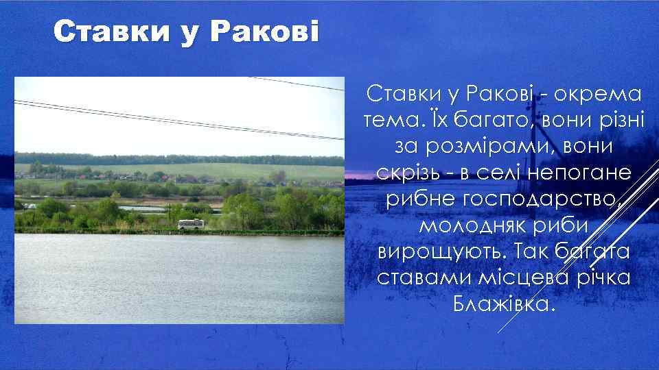 Ставки у Ракові - окрема тема. Їх багато, вони різні за розмірами, вони скрізь