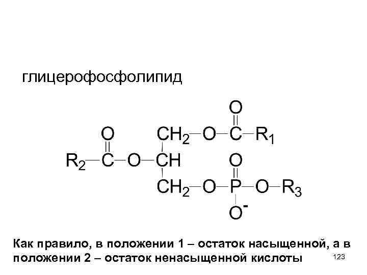 глицерофосфолипид Как правило, в положении 1 – остаток насыщенной, а в 123 положении 2