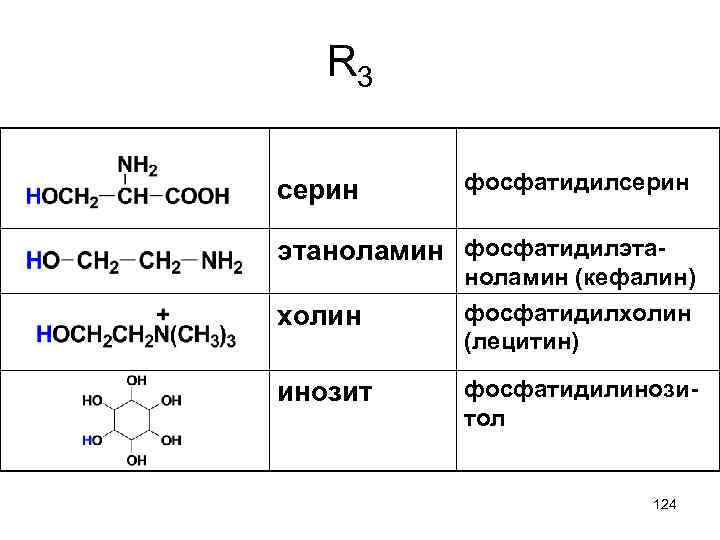 R 3 серин фосфатидилсерин этаноламин фосфатидилэтахолин ноламин (кефалин) фосфатидилхолин (лецитин) инозит фосфатидилинозитол 124 