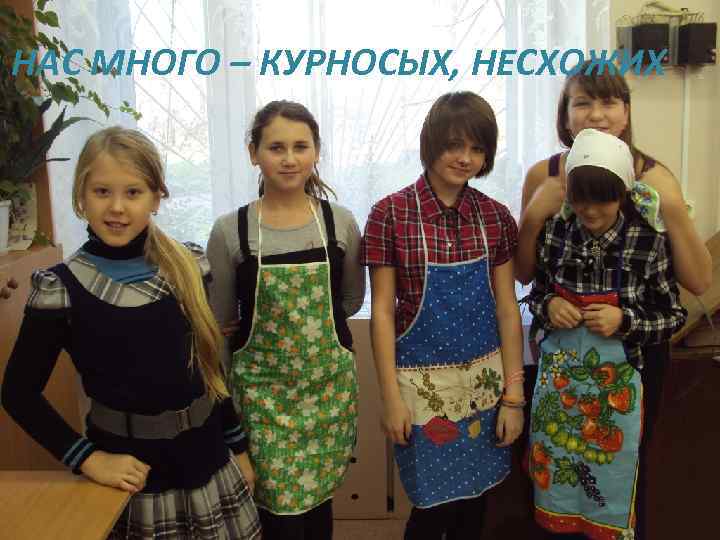 НАС МНОГО – КУРНОСЫХ, НЕСХОЖИХ 