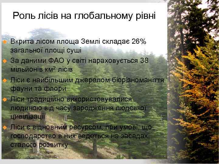 Роль лісів на глобальному рівні u u u Вкрита лісом площа Землі складає 26%