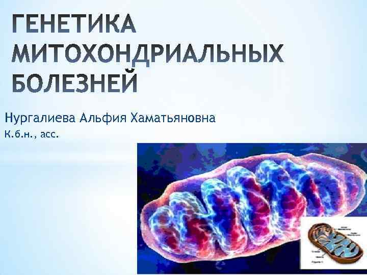 Нургалиева Альфия Хаматьяновна К. б. н. , асс. 