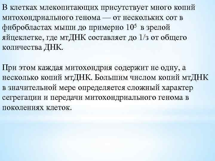 В клетках млекопитающих присутствует много копий митохондриального генома — от нескольких сот в фибробластах