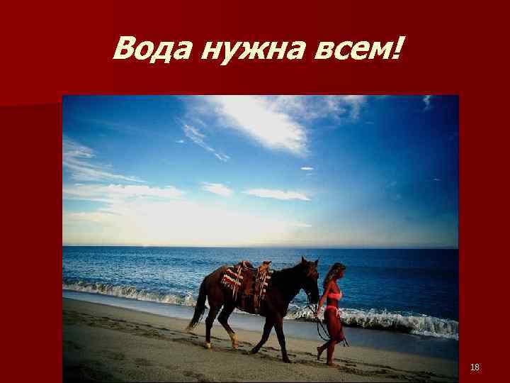 Вода нужна всем! 18 