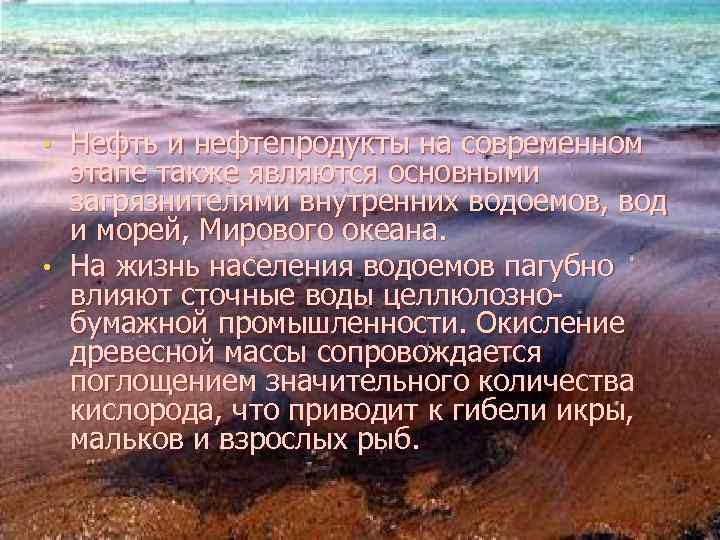 Нефть и нефтепродукты на современном этапе также являются основными загрязнителями внутренних водоемов, вод и