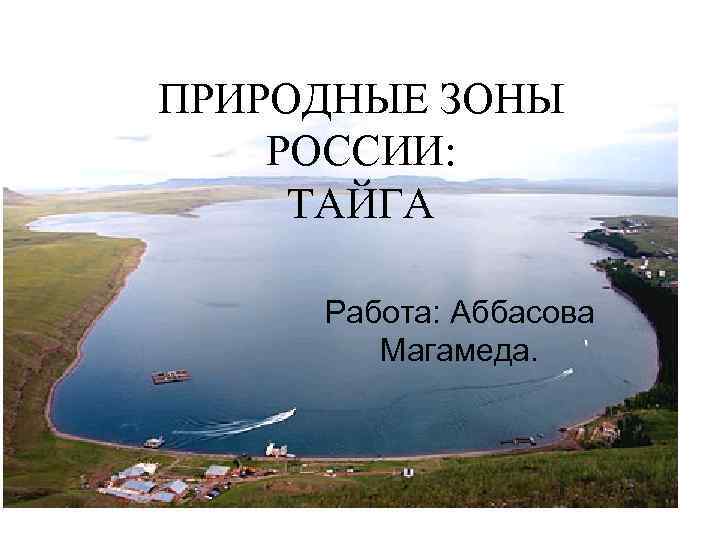 ПРИРОДНЫЕ ЗОНЫ РОССИИ: ТАЙГА Работа: Аббасова Магамеда. 