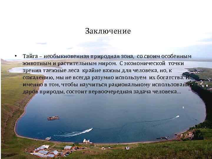 Заключение • Тайга – необыкновенная природная зона, со своим особенным животным и растительным миром.