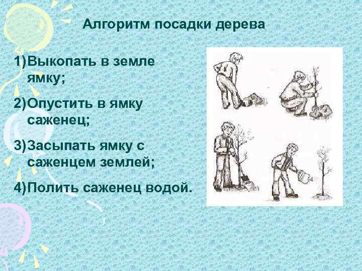 Алгоритм посадки дерева 1) Выкопать в земле ямку; 2) Опустить в ямку саженец; 3)