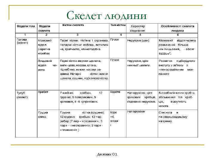 Скелет людини Десятник О. І. 