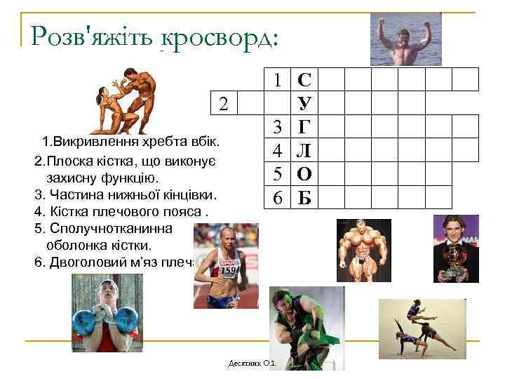 Розв'яжіть кросворд: 2 1. Викривлення хребта вбік. 2. Плоска кістка, що виконує захисну функцію.