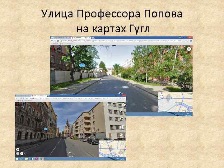 Улица Профессора Попова на картах Гугл 