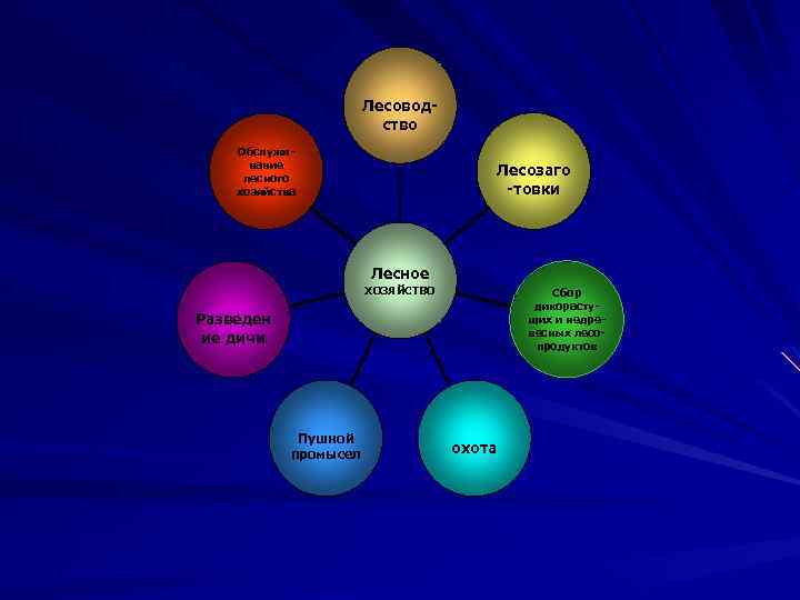 Лесоводство Обслуживание лесного хозяйства Лесозаго -товки Лесное хозяйство Сбор дикорастущих и недревесных лесопродуктов Разведен