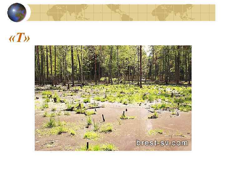  «Т» 