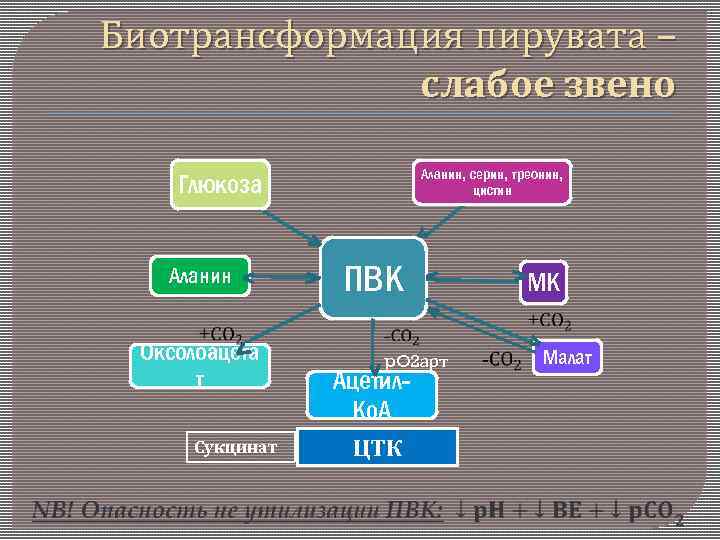 Биотрансформация пирувата – слабое звено Аланин, серин, треонин, цистин Глюкоза Аланин Оксолоацета т Сукцинат