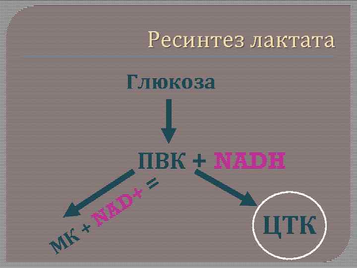 Ресинтез лактата Глюкоза ПВК + NADH М + К + D A N =