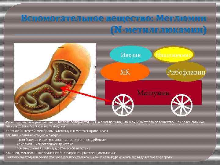 Вспомогательное вещество: Меглюмин (N-метилглюкамин) Инозин ЯК Никотинамид Рибофлавин Меглумин N-метилглюкамин (меглюмин). В ампуле содержится