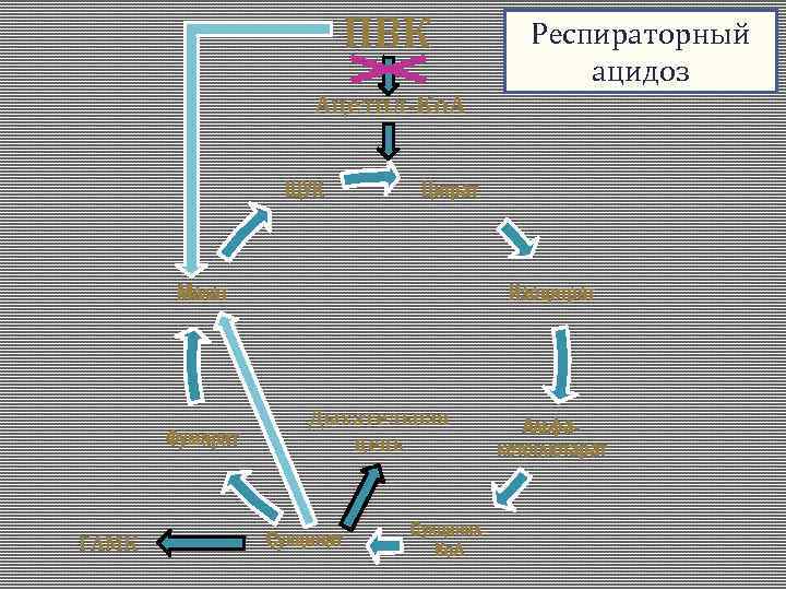 ПВК Респираторный ацидоз Ацетил-Ко. А ЩУК Цитрат Малат Фумарат ГАМК Изоцитрат Дыхательная цепь Сукцинат