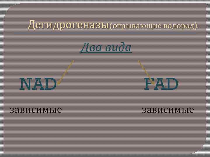 Дегидрогеназы(отрывающие водород). Два вида NAD зависимые FAD зависимые 