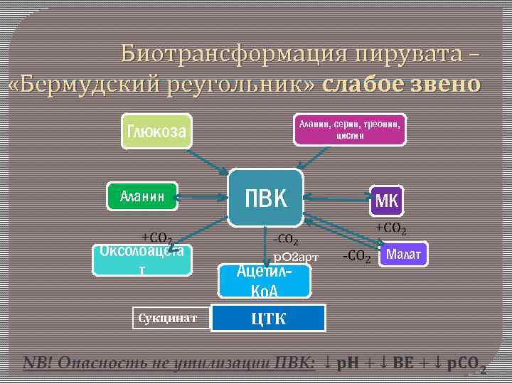 Биотрансформация пирувата – «Бермудский реугольник» слабое звено Аланин, серин, треонин, цистин Глюкоза Аланин Оксолоацета