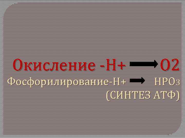 Окисление -Н+ О 2 Фосфорилирование-Н+ НРО 3 (СИНТЕЗ АТФ) 