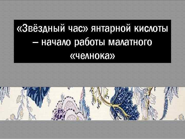  «Звёздный час» янтарной кислоты – начало работы малатного «челнока» 