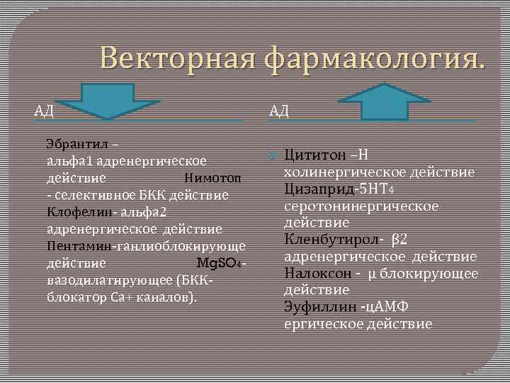 Векторная фармакология. АД Эбрантил – Цититон –Н альфа 1 адренергическое холинергическое действие Нимотоп Цизаприд-5