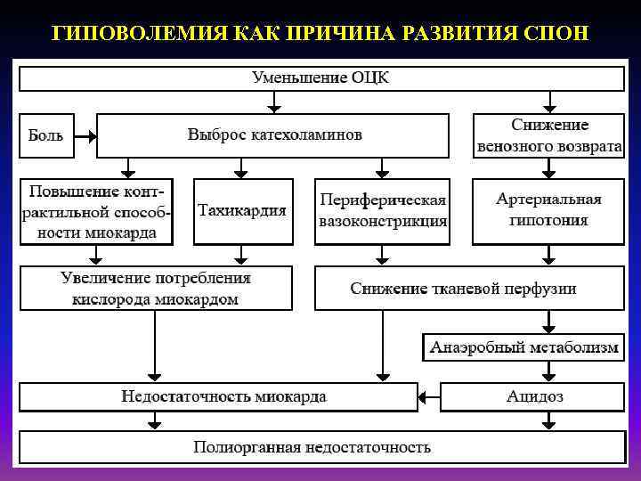 ГИПОВОЛЕМИЯ КАК ПРИЧИНА РАЗВИТИЯ СПОН 