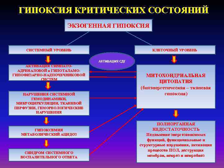 ГИПОКСИЯ КРИТИЧЕСКИХ СОСТОЯНИЙ ЭКЗОГЕННАЯ ГИПОКСИЯ СИСТЕМНЫЙ УРОВЕНЬ КЛЕТОЧНЫЙ УРОВЕНЬ АКТИВАЦИЯ СДГ АКТИВАЦИЯ СИМПАТОАДРЕНАЛОВОЙ и