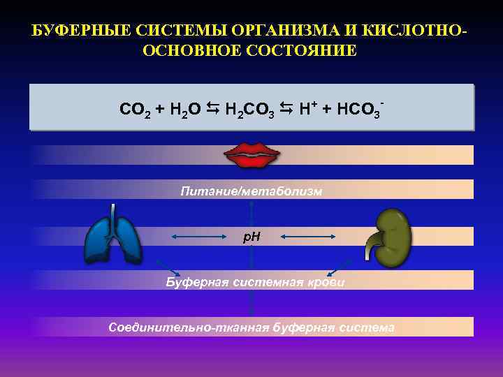 БУФЕРНЫЕ СИСТЕМЫ ОРГАНИЗМА И КИСЛОТНООСНОВНОЕ СОСТОЯНИЕ CO 2 + H 2 O H 2
