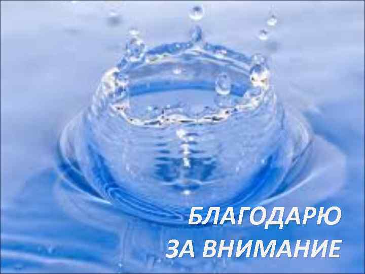 БЛАГОДАРЮ ЗА ВНИМАНИЕ 