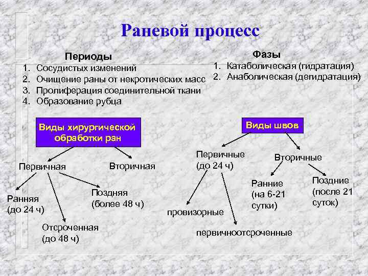 Раневой процесс Фазы Периоды 1. 2. 3. 4. 1. Катаболическая (гидратация) Сосудистых изменений Очищение