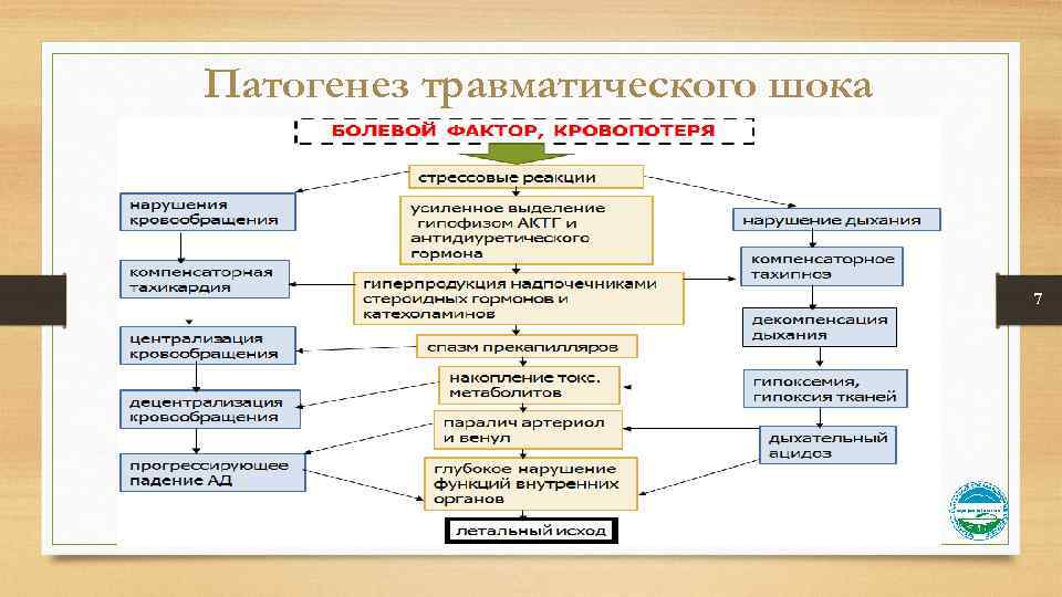 Патогенез травматического шока 7 