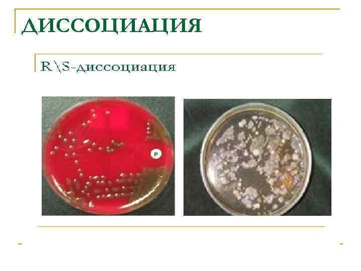 ДИССОЦИАЦИЯ 