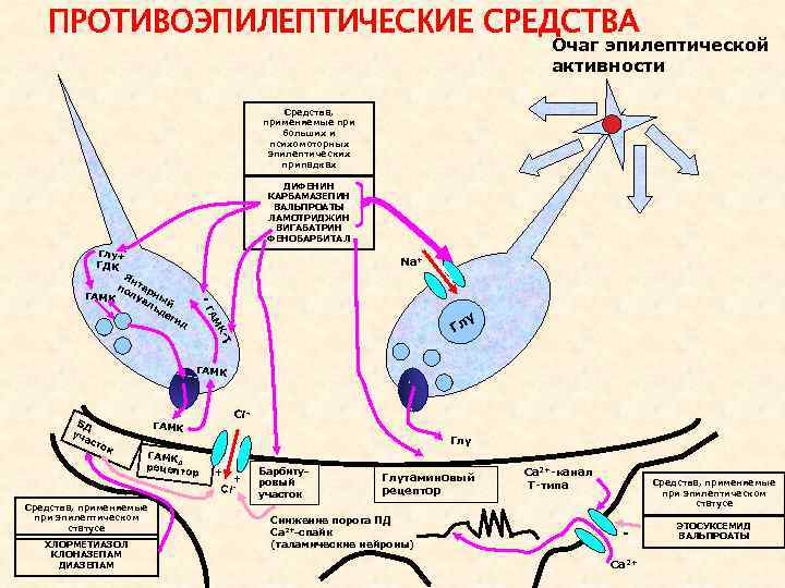 ПРОТИВОЭПИЛЕПТИЧЕСКИЕ СРЕДСТВА Очаг эпилептической активности Средства, применяемые при больших и психомоторных эпилептических припадках ДИФЕНИН