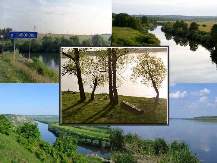 Реки Тульской области 