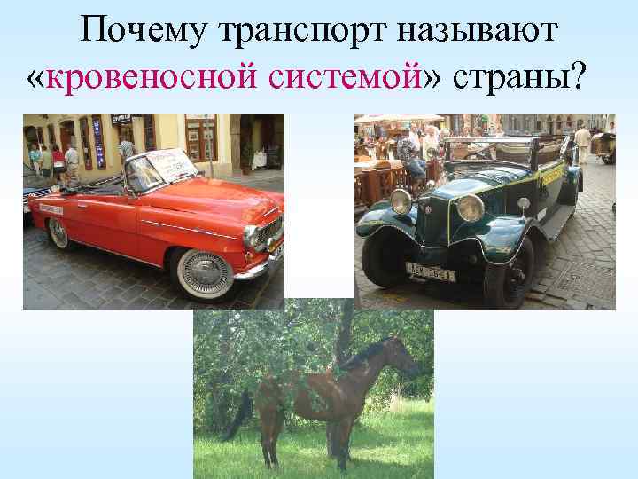 Почему транспорт называют «кровеносной системой» страны? 