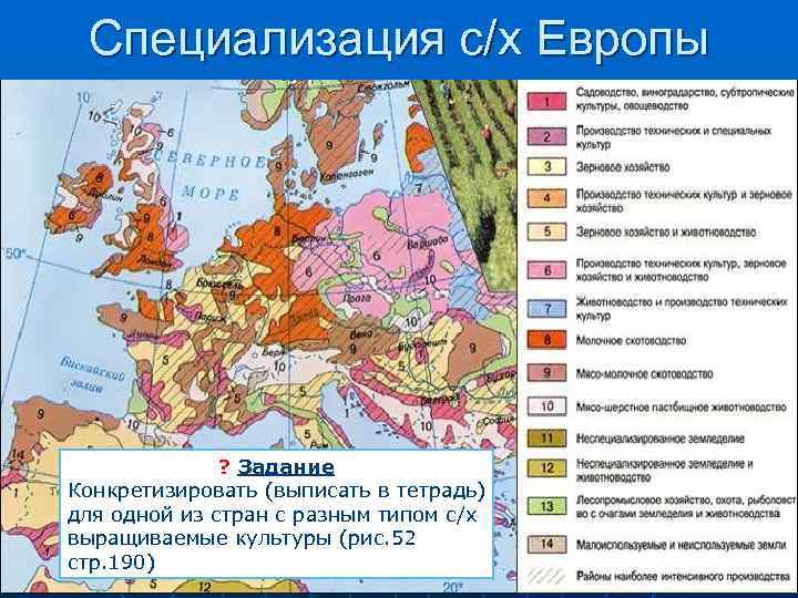 Специализация европейской части россии