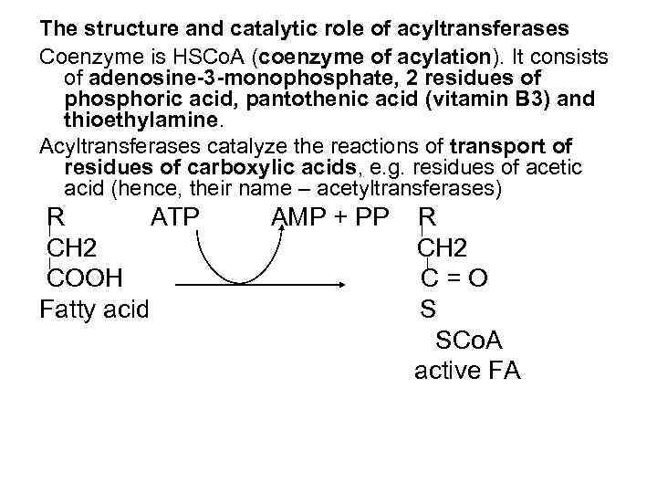 The structure and catalytic role of acyltransferases Coenzyme is HSCo. A (coenzyme of acylation).