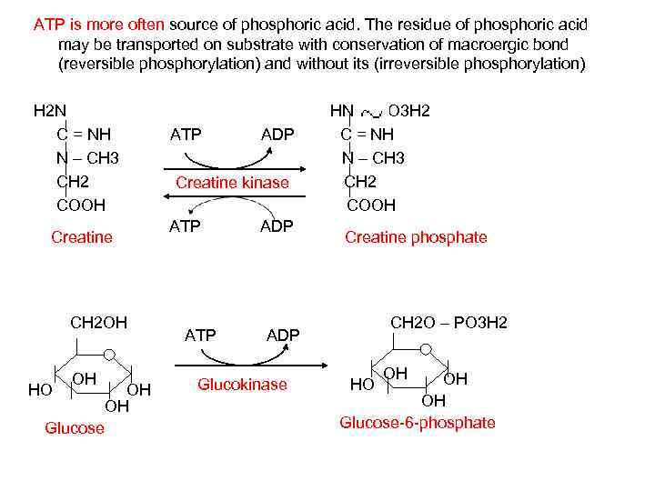 ATP is more often source of phosphoric acid. The residue of phosphoric acid may