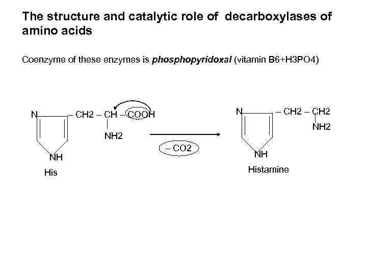 The structure and catalytic role of decarboxylases of amino acids Coenzyme of these enzymes