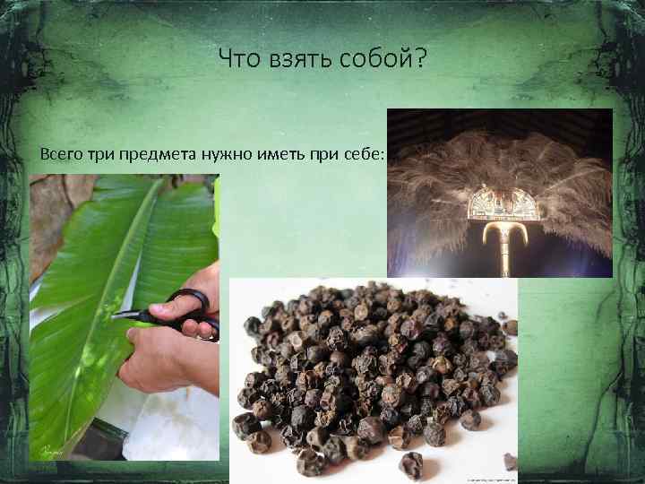 Что взять собой? Всего три предмета нужно иметь при себе: 