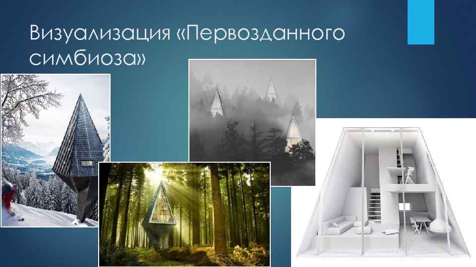 Визуализация «Первозданного симбиоза» 